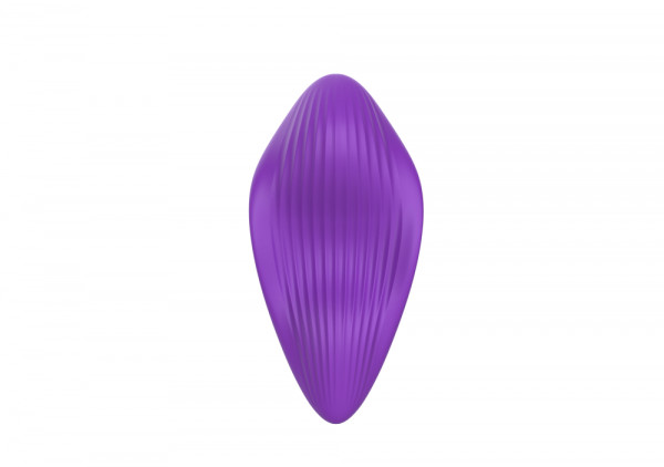 Вибратор в трусики на магните "Secwell Feiyan" + приложение, фиолетовый