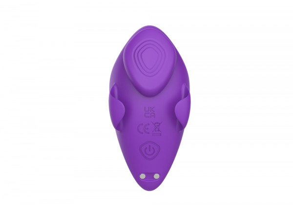 Вибратор в трусики на магните "Secwell Feiyan" + приложение, фиолетовый